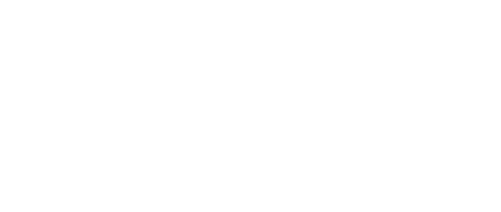 Vector Globe